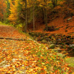 Thumbnail image for What Can Gratitude Give You?