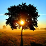 Thumbnail image for Tomorrow is a New Day