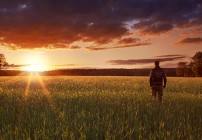 hope quotes