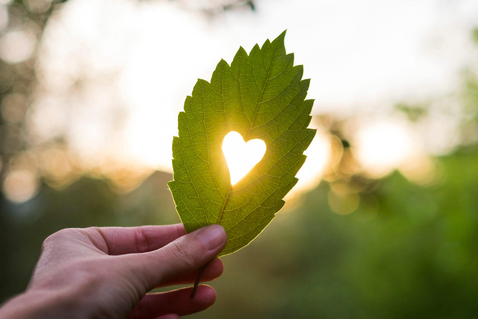 38 Inspirational Love Quotes to Stir Your Heart - Virtues For Life