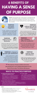 sense of purpose infographic