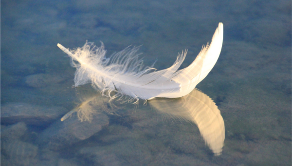 The Art of Gentleness