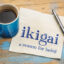 What is Ikigai?
